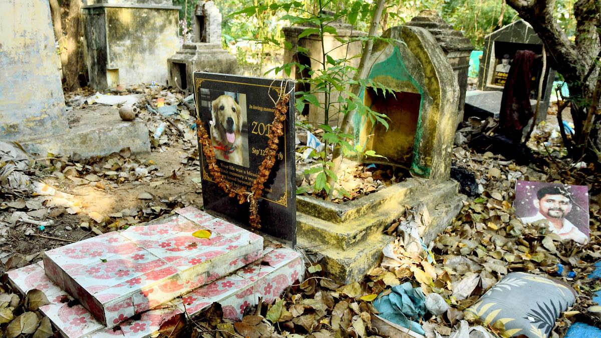 Dignity in death for pets is necessary, say owners and activists The